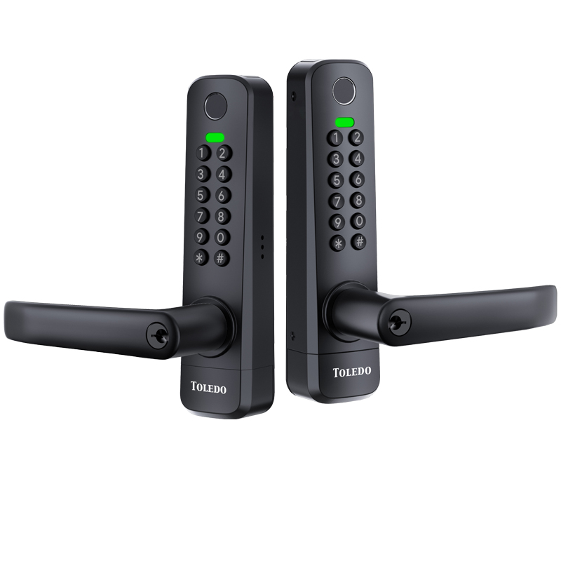 Toledo Nexus Electronic Waterproof Gate Lock