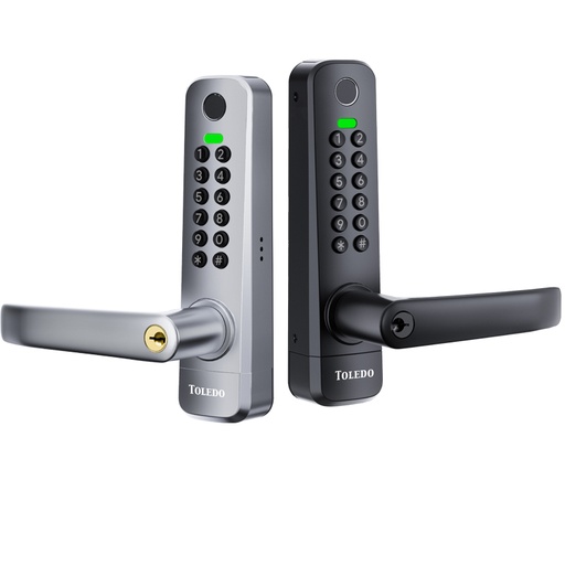 Toledo Nexus Electronic Waterproof Gate Lock
